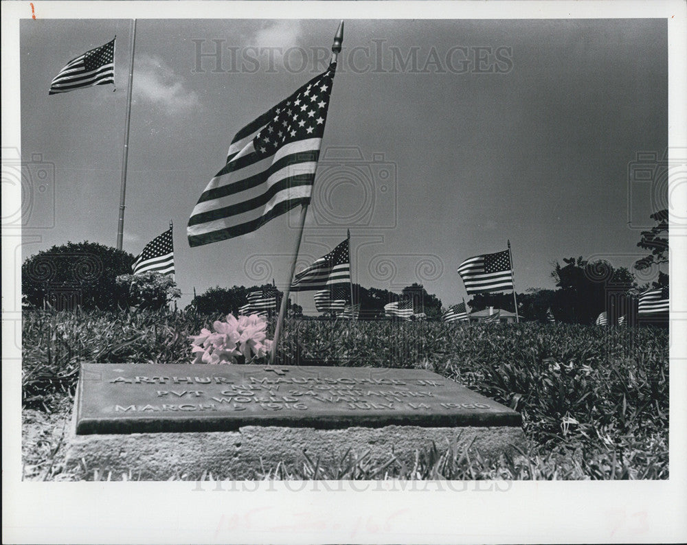 1973 Press Photo Row upon row of American flags on Memorial Day - Historic Images