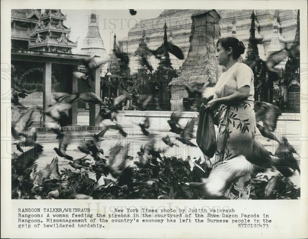 1974 Press Photo Woman Feeds Pigeons by Shwe Dagon Pagoda in Rangoon, Burma - Historic Images