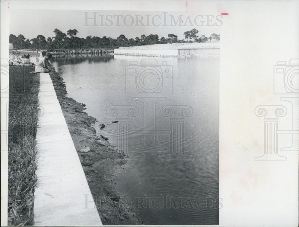 1970 Press Photo Marjorie Waugh With Pets 7 Ft Alligator And Chihuahua - Historic Images