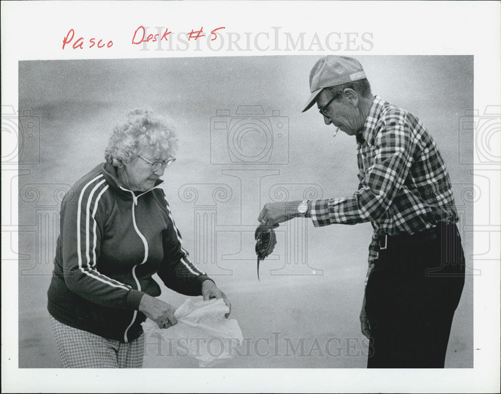 1986 Press Photo Pearl And George Ketzel Picking Up Horseshoe Crab On Beach - Historic Images