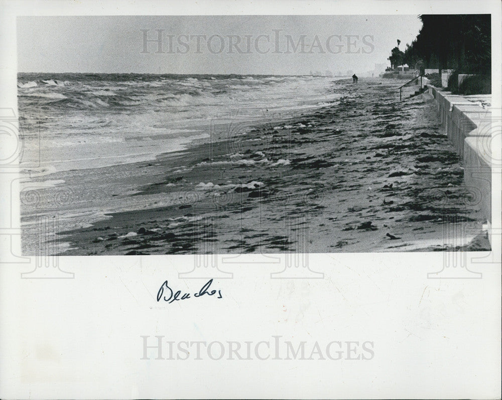 Press Photo Cold Front Takes Over Belleair Beach, Driving Out Tourists - Historic Images