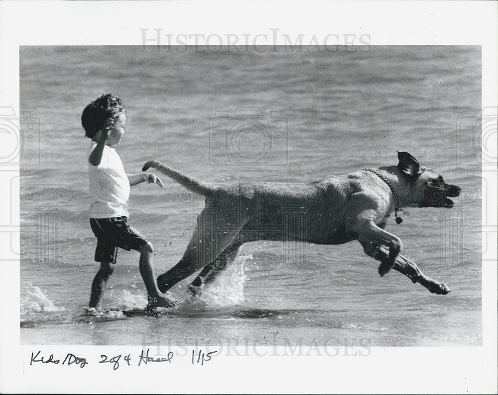 1967 Press Photo Large Dog Races Past Four Year Old Christopher Frank On Beach - Historic Images