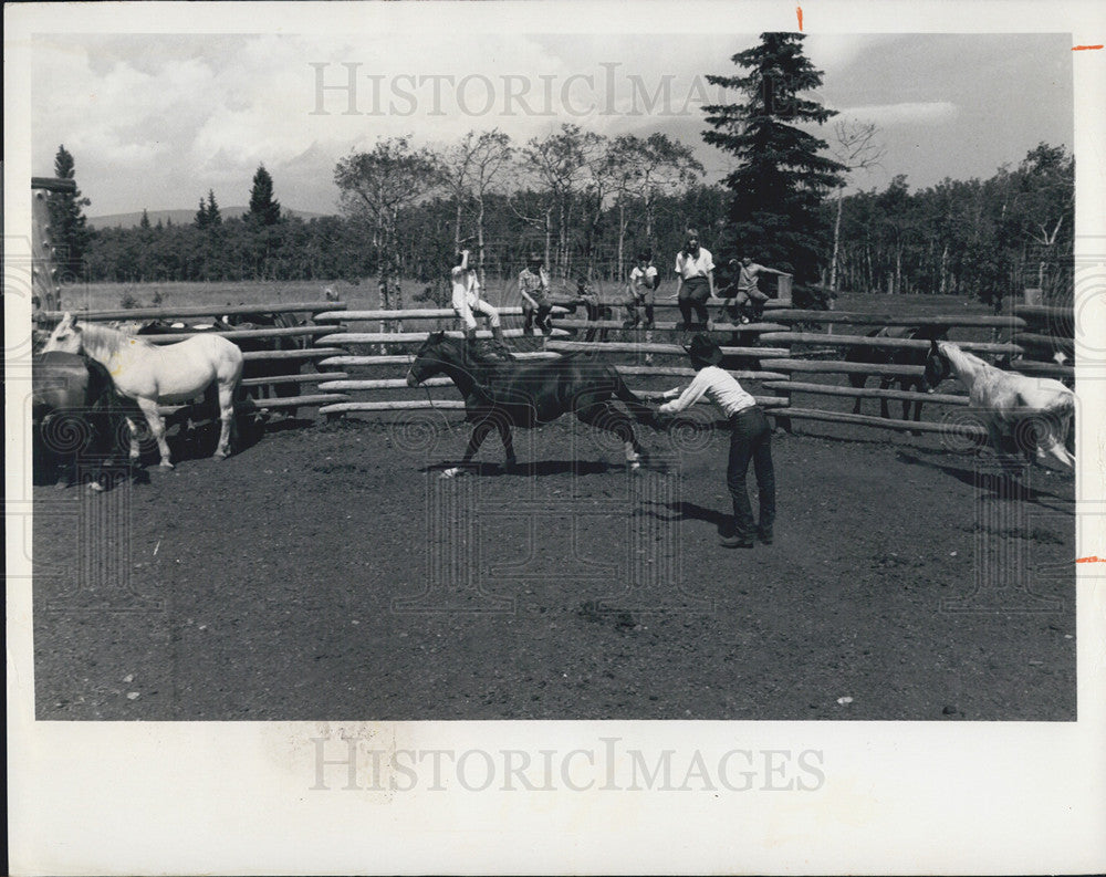 1974 Press Photo Kids In Alberta Watching Expert Horse Roper - Historic Images