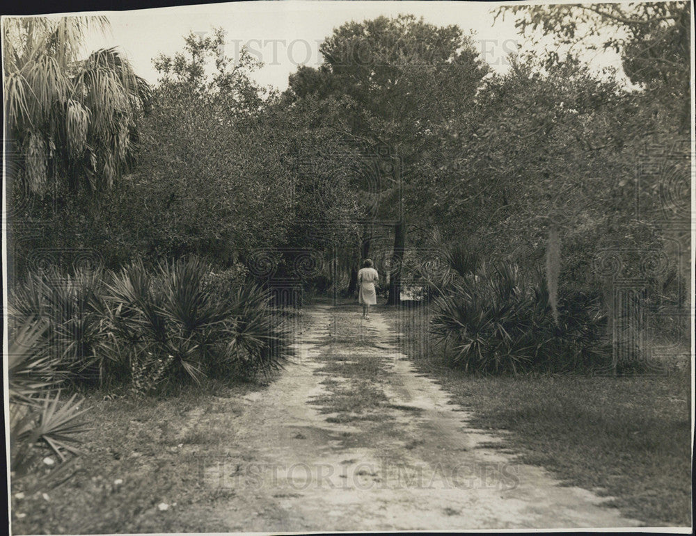 Press Photo Woman Walks Florida Trail - Historic Images
