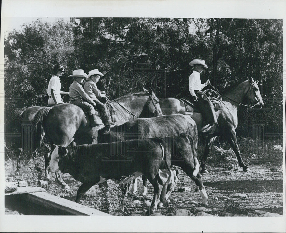 1965 Press Photo Lieutenant Commander Charles Conrad Rounding Cattle - Historic Images