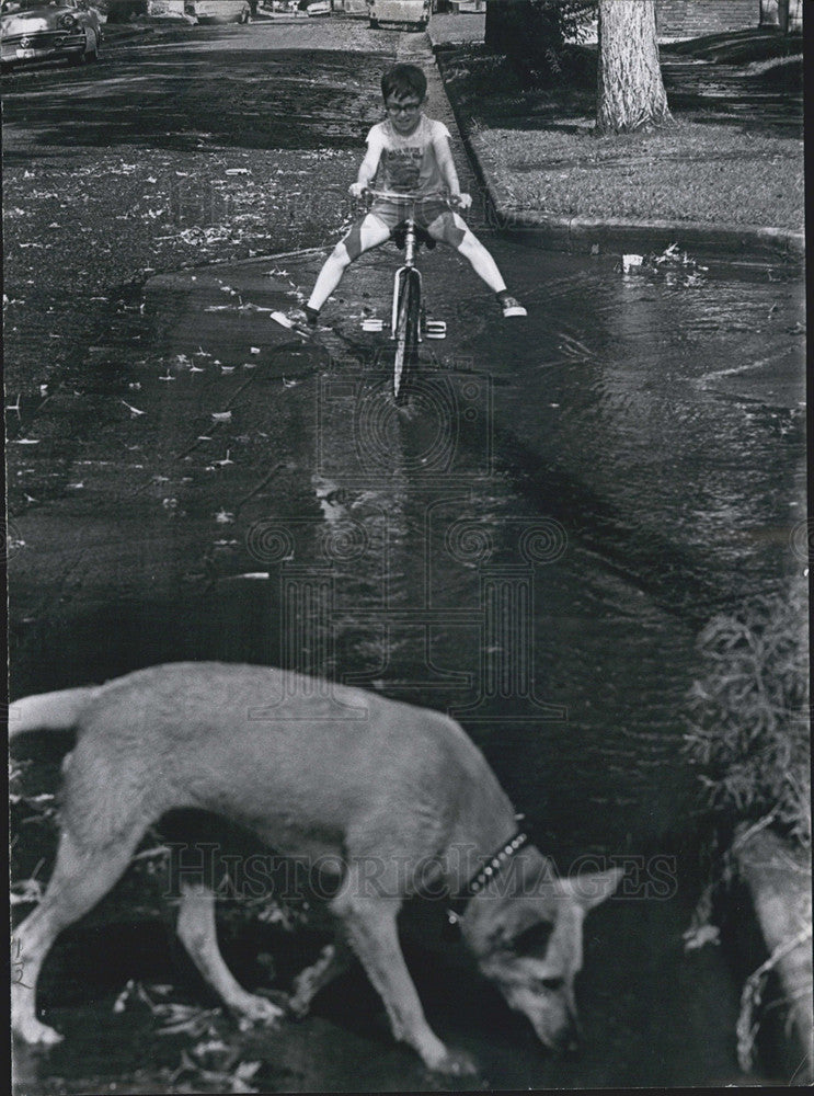 1965 Press Photo Mike Martinez and his dog Queenie playing in puddles from flood - Historic Images