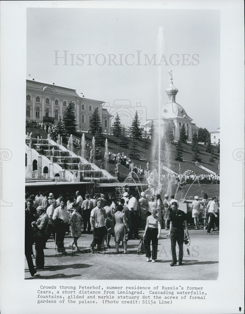 Press Photo Tourists in Peterhof, Russia - Historic Images