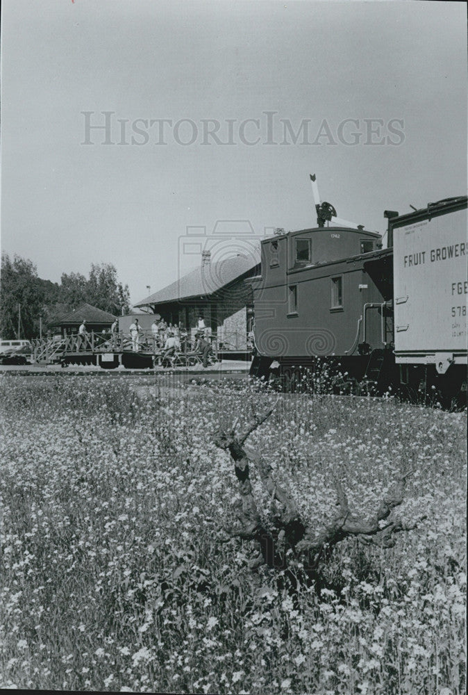 1981 Press Photo Vintage 1870 Complex Yountville California Old Railcars Stores - Historic Images