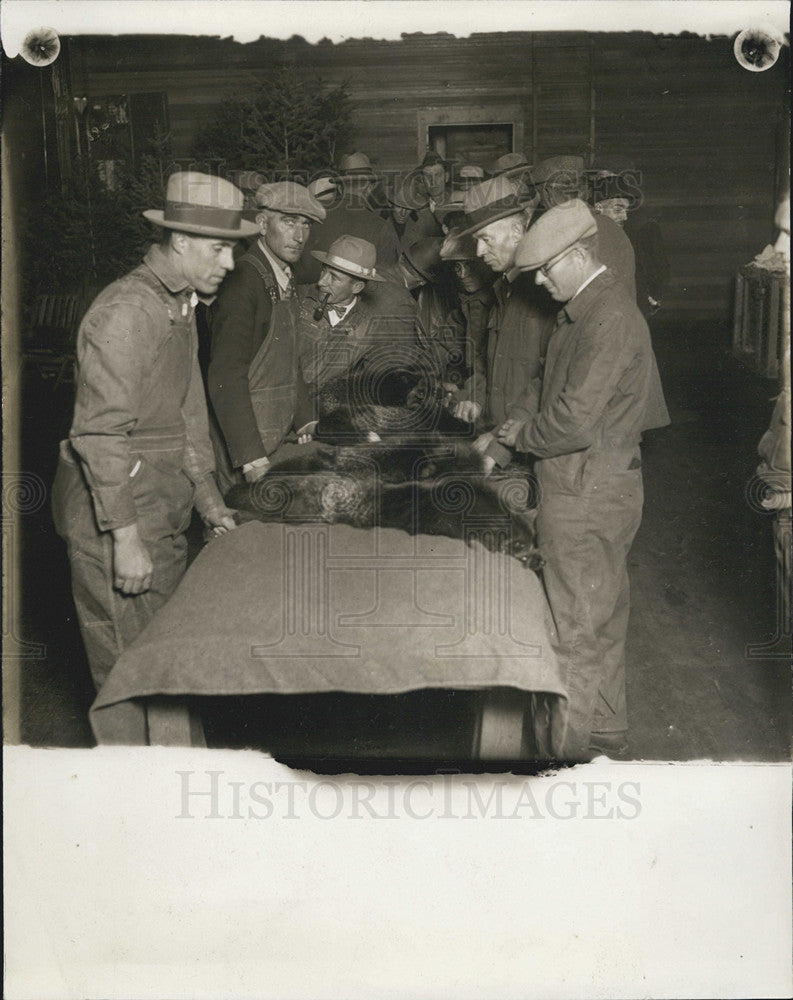 1927 Press Photo Judging Foxes at the Silver Fox Show - Historic Images