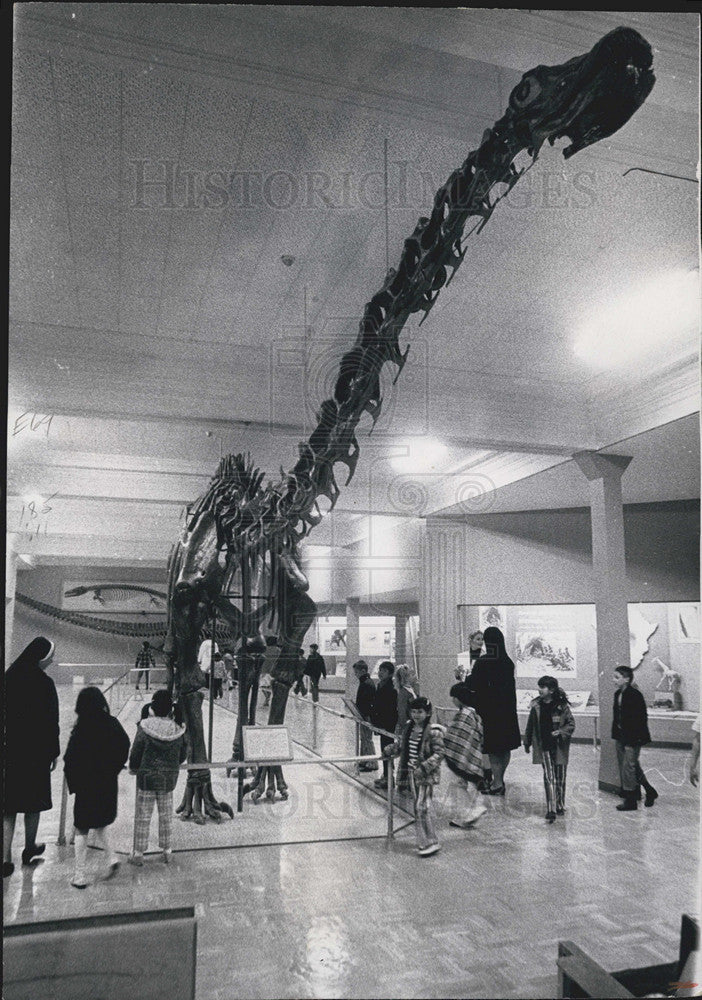 1971 Press Photo Children admiring a dinosaur skeleton at the Wind River Reservation - Historic Images