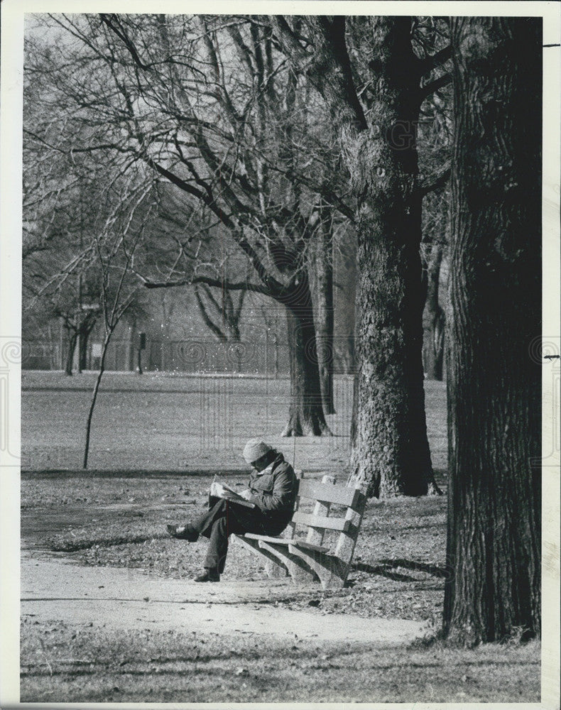 1984 Press Photo Enjoying Marquette Park in Chicago - Historic Images