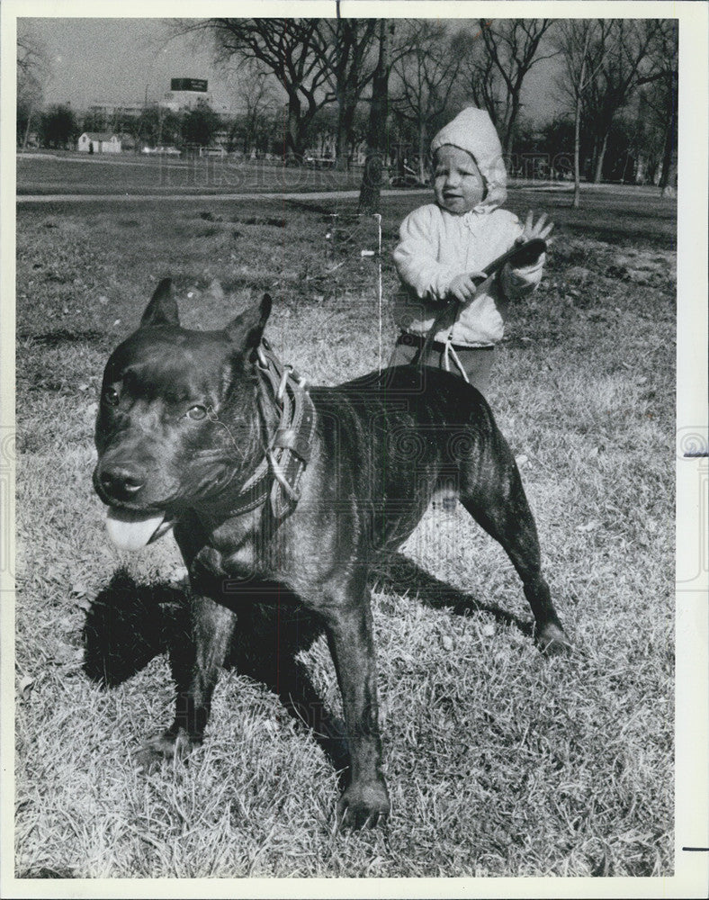 1985 Press Photo Fayteka the dog takes Tim Clancy for a walk in Marquette Park - Historic Images