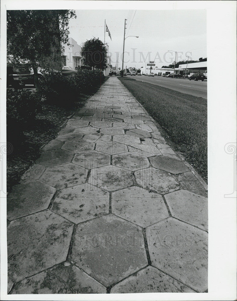 1989 Press Photo City Council of St.Petersburg decides if the hexagon sidewalks - Historic Images