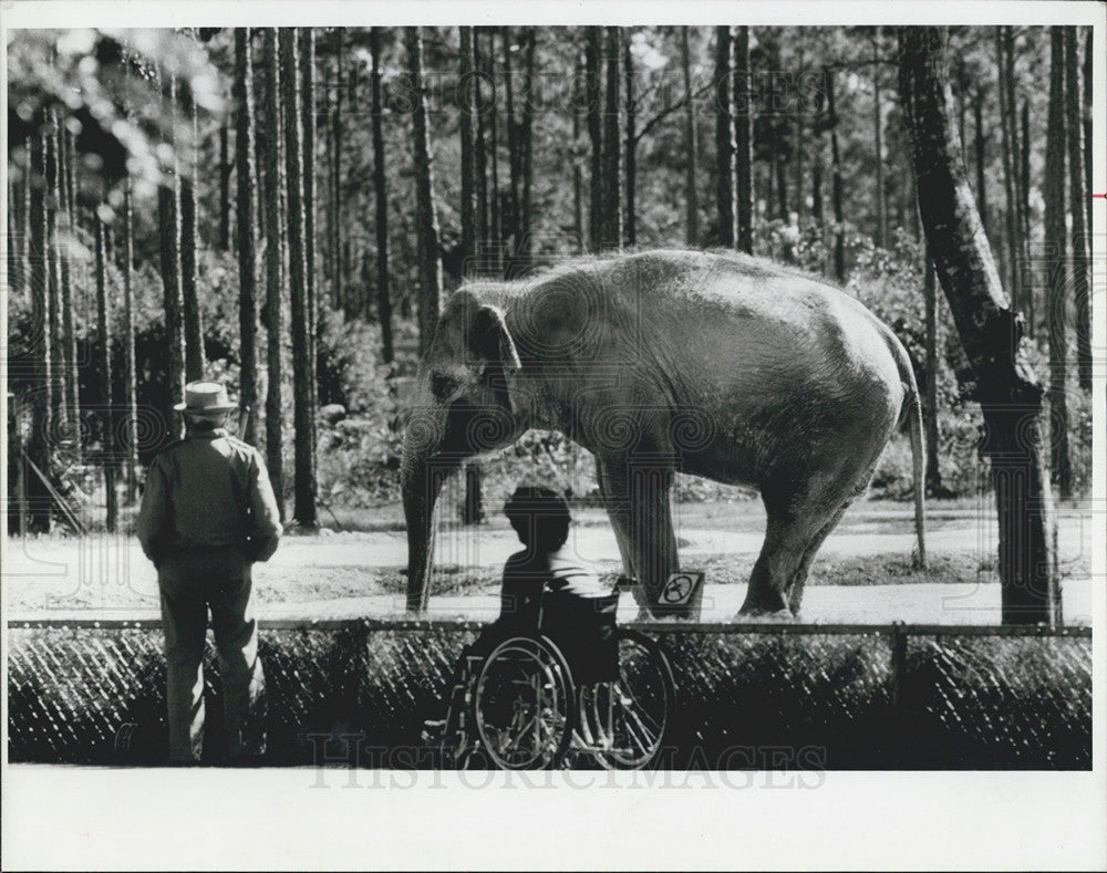 1985 Press Photo Asian Elephant on the only island at Metrozoo - Historic Images