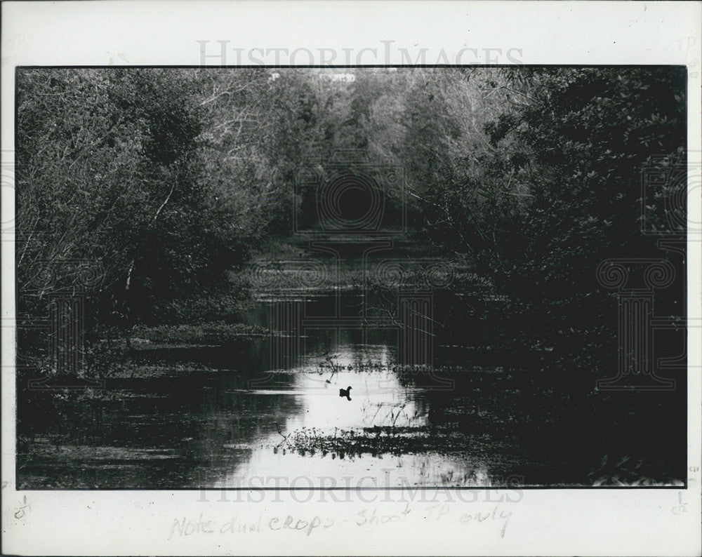 1987 Press Photo Sawgrass Lake Park in St. Petersburg, FL - Historic Images