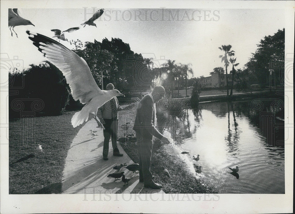 1973 Press Photo Feeding the birds in Round Lake - Historic Images