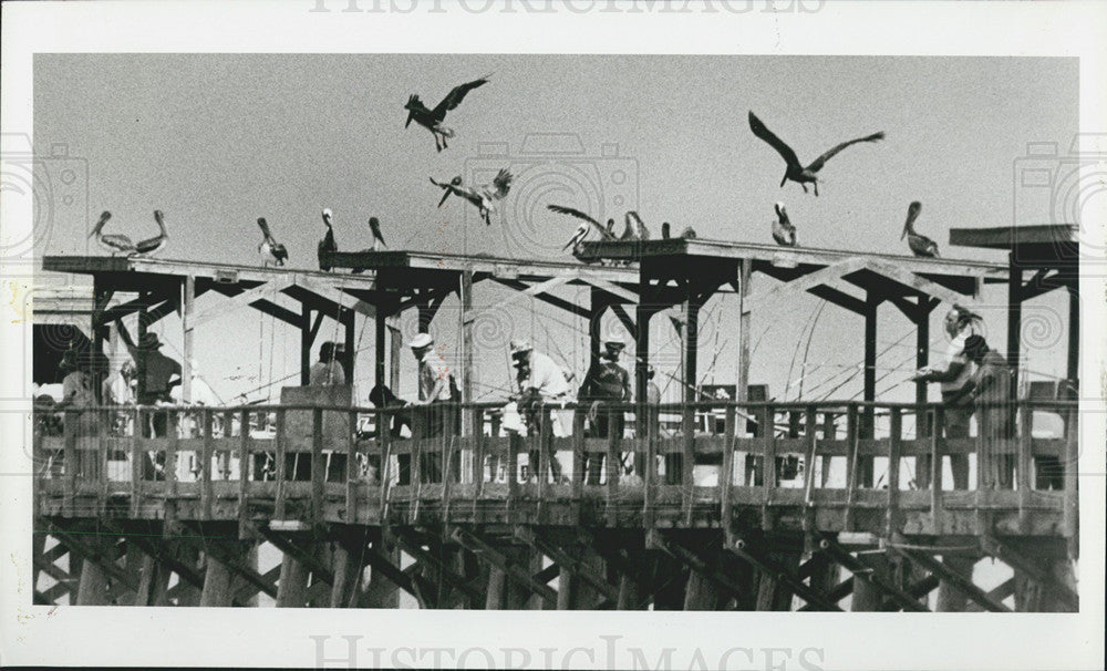 1981 Press Photo Braving the heat at Indian Rocks Beach in Florida - Historic Images