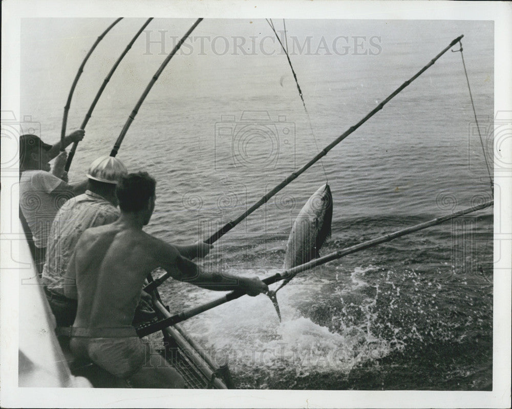 1965 Press Photo Fishermen Aboard The FWS Geronimo, Research Vessel - Historic Images