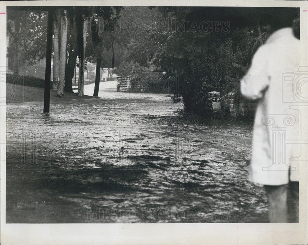1965 Press Photo Booker Creek Overflows Roser Park Drive, St. Petersburg Floods - Historic Images