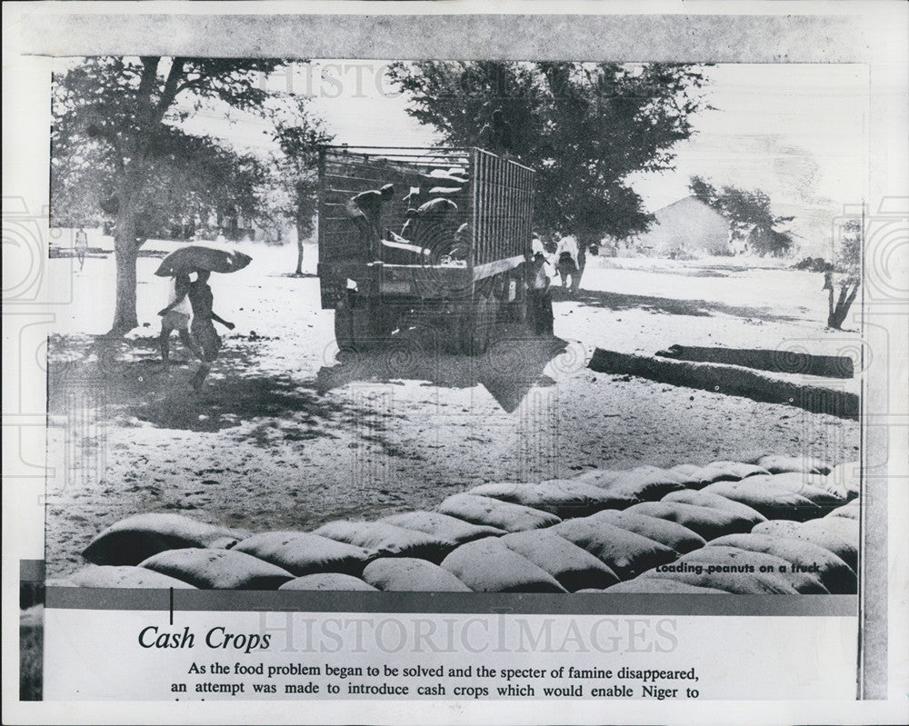 1961 Press Photo Niger Cash Crop Introduction Loaded Peanuts On Truck - Historic Images