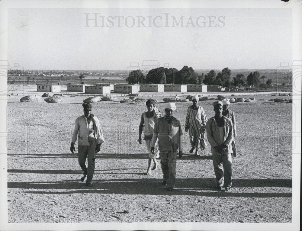 1965 Press Photo Workers Walking Across Desert Faiyum Oasis Egypt - Historic Images