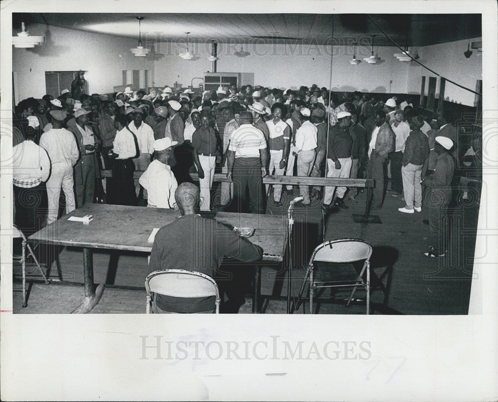 1974 Press Photo Hundreds Of Longshoremen Seeking Dock Employment In Tampa, FL - Historic Images