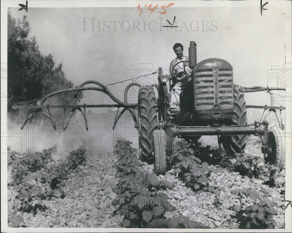 1951 Press Photo Turkish Farmer getting over a heat binge. - Historic Images