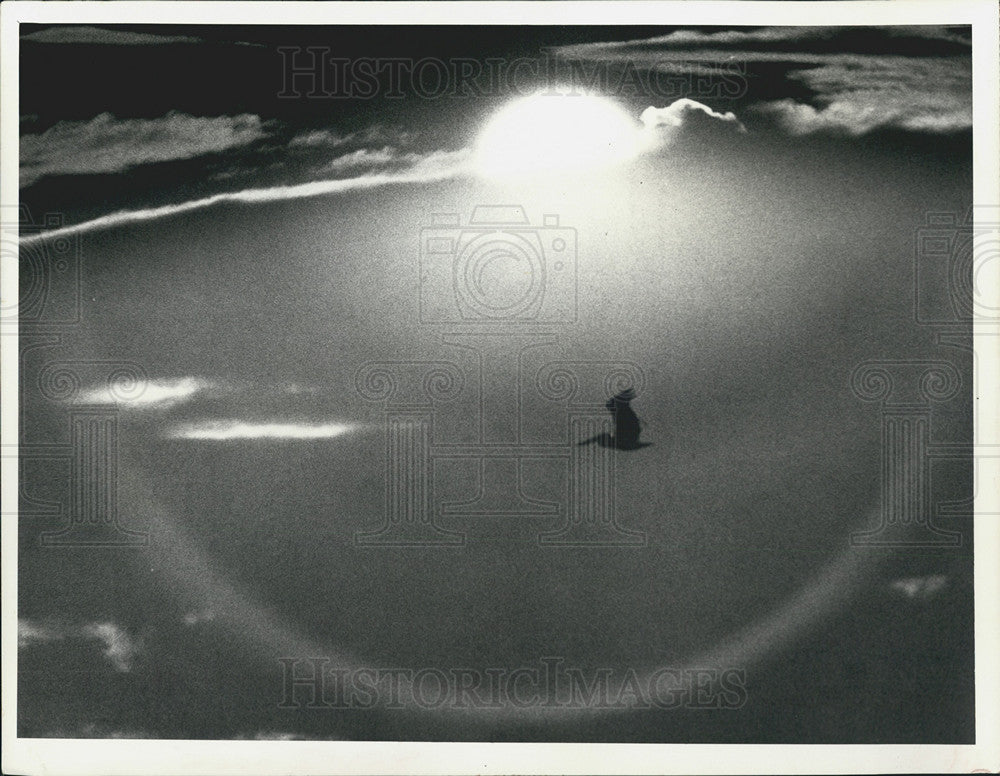 1973 Press Photo Pelicans and vapor streaks in St. Petersburg, FL - Historic Images