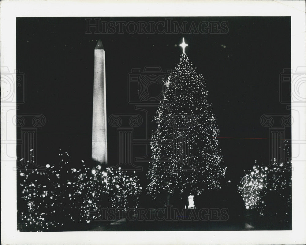 1965 Press Photo The Natl Christmas Tree in Washington DC - Historic Images