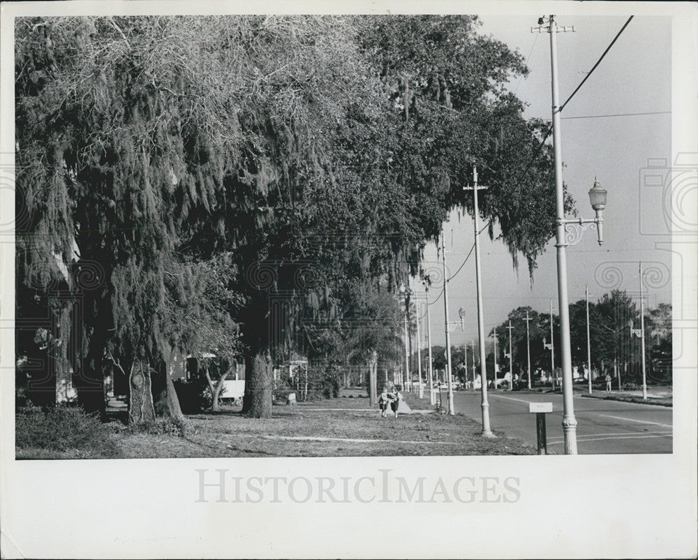 1965 Press Photo St Petersburg Florida Looking East From Newark St-Girls Walking - Historic Images