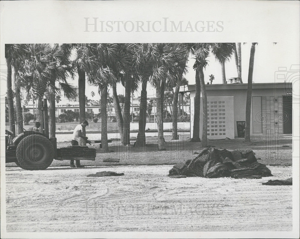 1966 Press Photo Grass, Spa and Bounty, St Petersburg - Historic Images