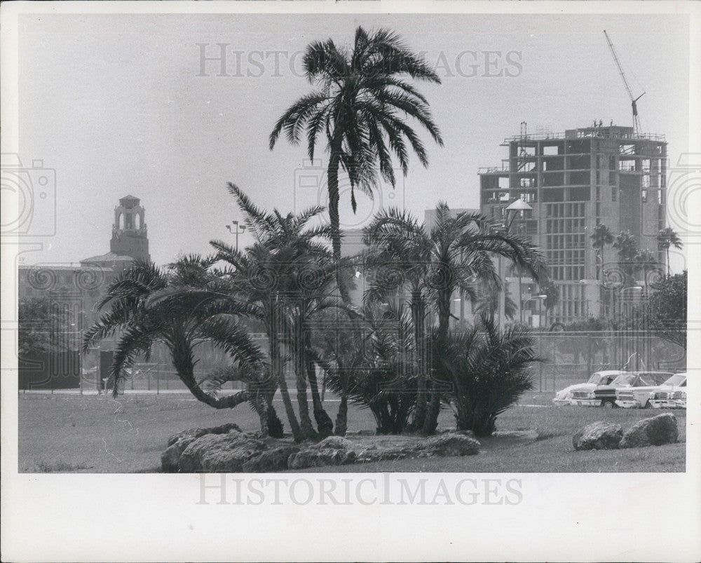 1969 Press Photo Two Bldgs Set Off By Palms In N Shore Park St Petersburg - Historic Images