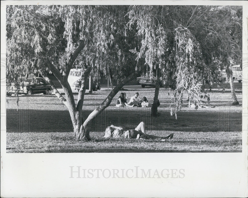 1972 Press Photo People enjoy a park in St Pete&#39;s Florida - Historic Images