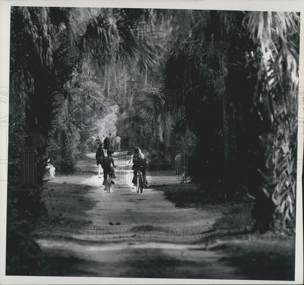 1971 Press Photo Bicyclists on path thru the trees - Historic Images