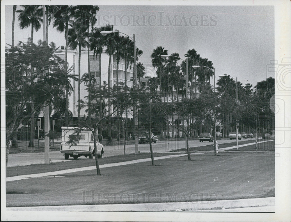 1971 Press Photo Car Tumble Down Palm Lined Street In St Petersburg Florida - Historic Images