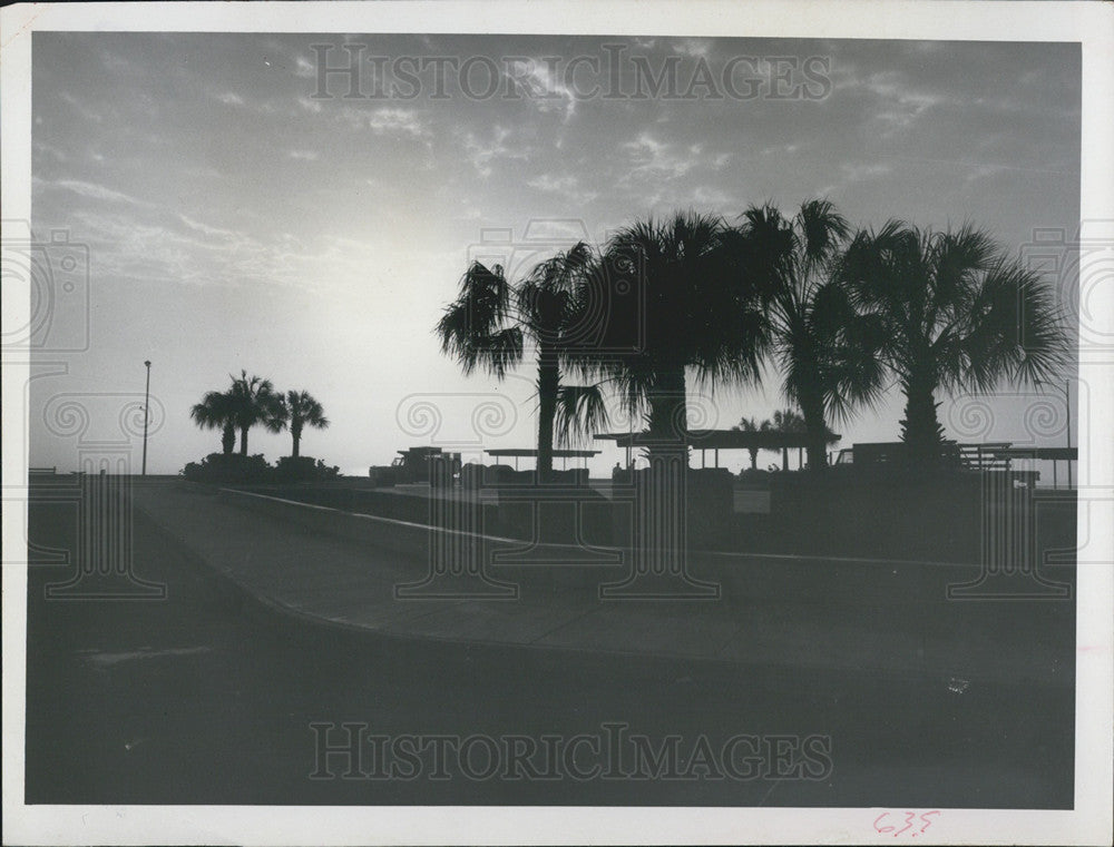 1968 Press Photo Sun Setting Over Palm Trees In St Petersburg Florida - Historic Images