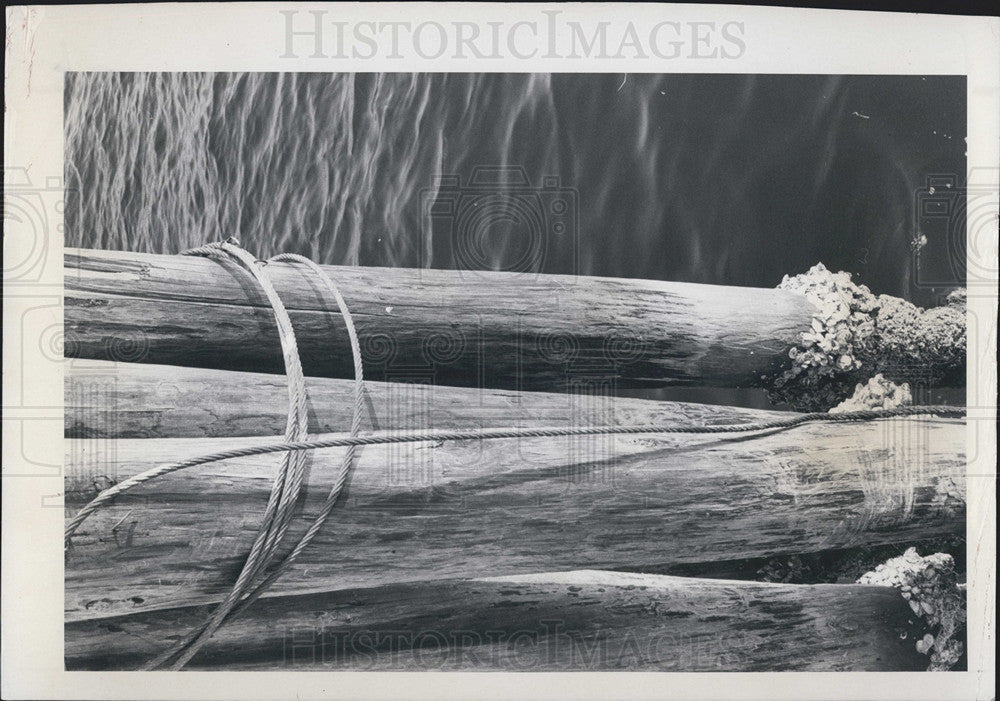 1977 Press Photo Weather Beaten Pilings At Tampa Bay University Of S Florida - Historic Images