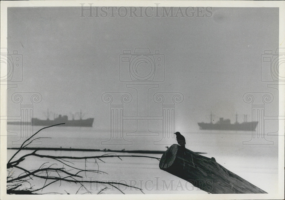 Press Photo  Scene of ships in Tampa Bay Fla - Historic Images