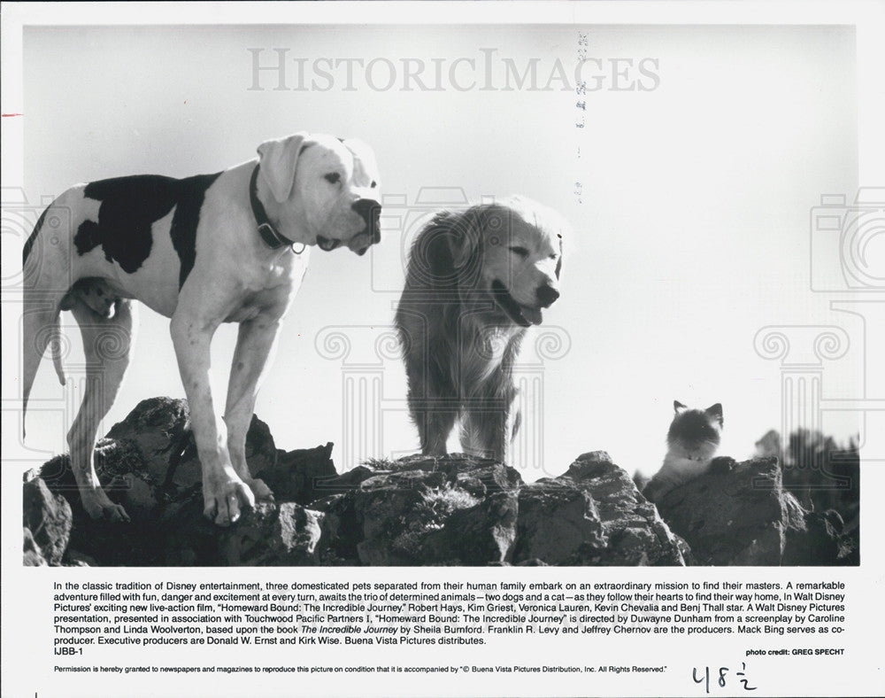 1993 Press Photo Homeward Bound - Historic Images