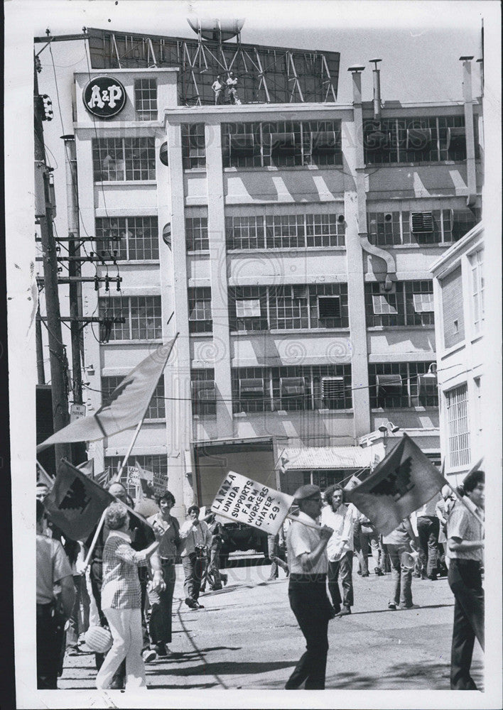 1973 Press Photo Pickets in Detoit,Mich - Historic Images