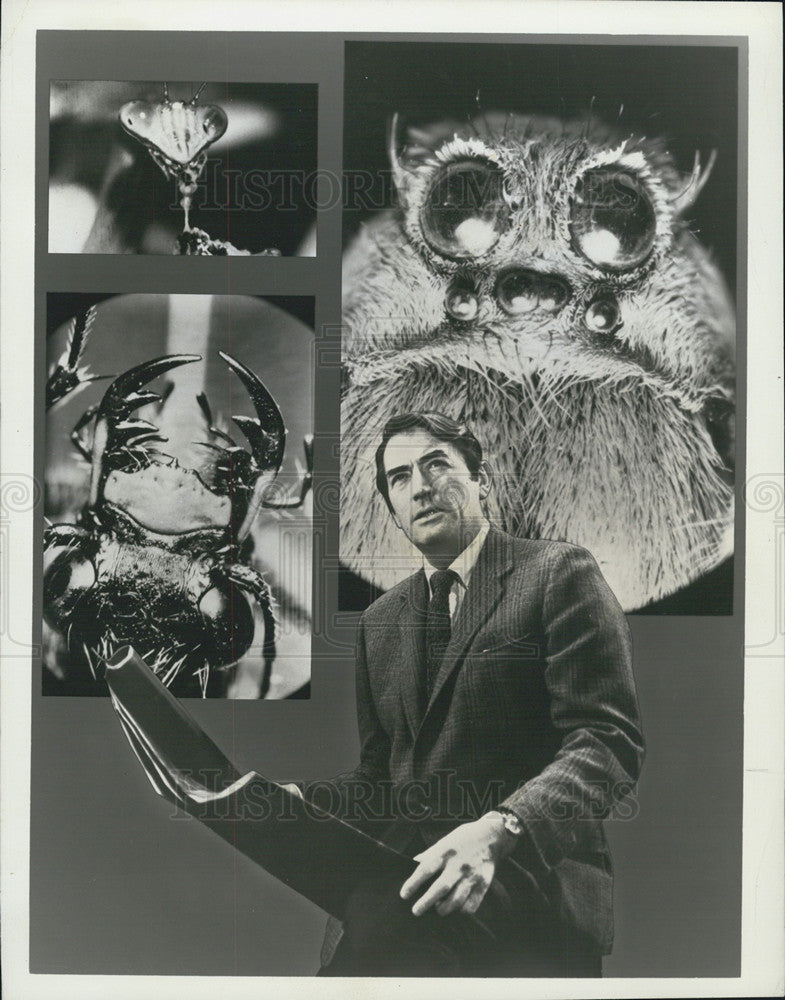 1971 Press Photo Gregory Peck/American Actor/Narrator/Land Of Small - Historic Images