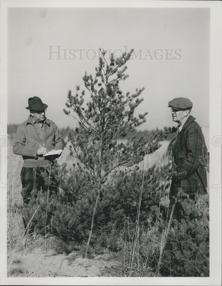 1937 Press Photo Detroit News Report On Reforestation Of Higgins Lake Michigan - Historic Images