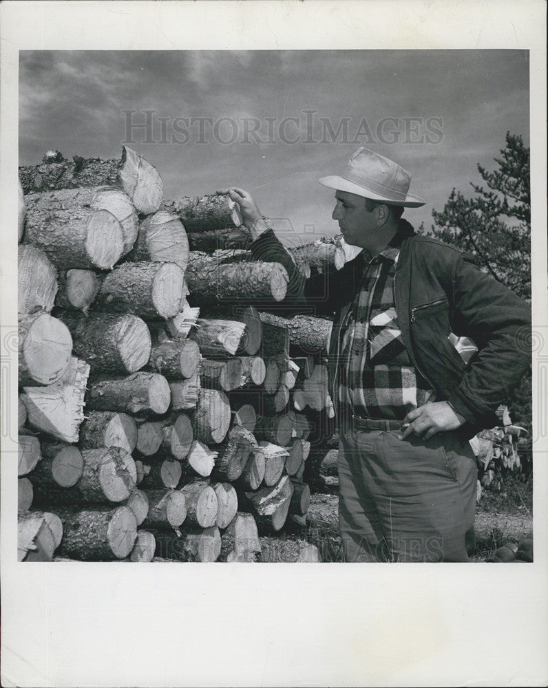 1953 Press Photo Cliff Walmsley and fresh cut lumber for paper company - Historic Images