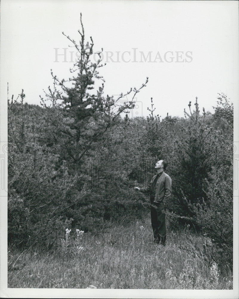 1943 Press Photo D. Sweitzer, forest ranger in Michigan. - Historic Images