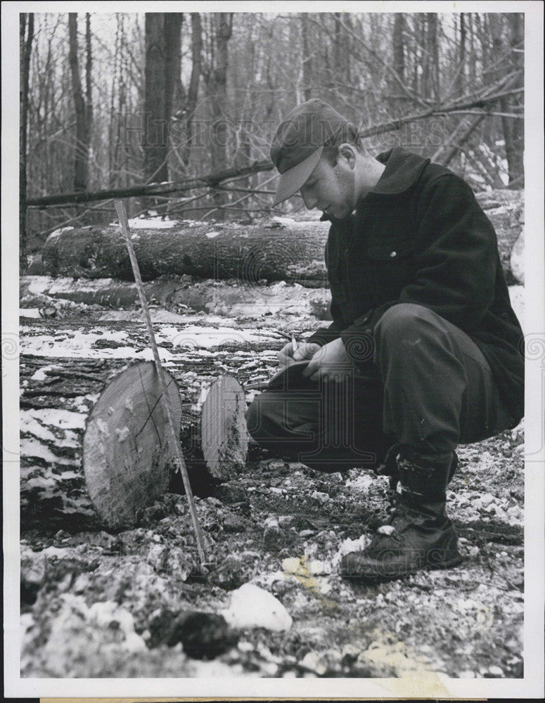 1952 Press Photo George Young Measures Diameter Of Log For Lumber Mill Sale - Historic Images