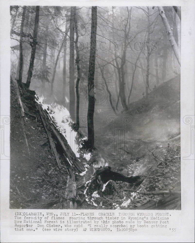 1955 Press Photo Forest Fire Destruction Wyoming Medicine Bow National Forest - Historic Images