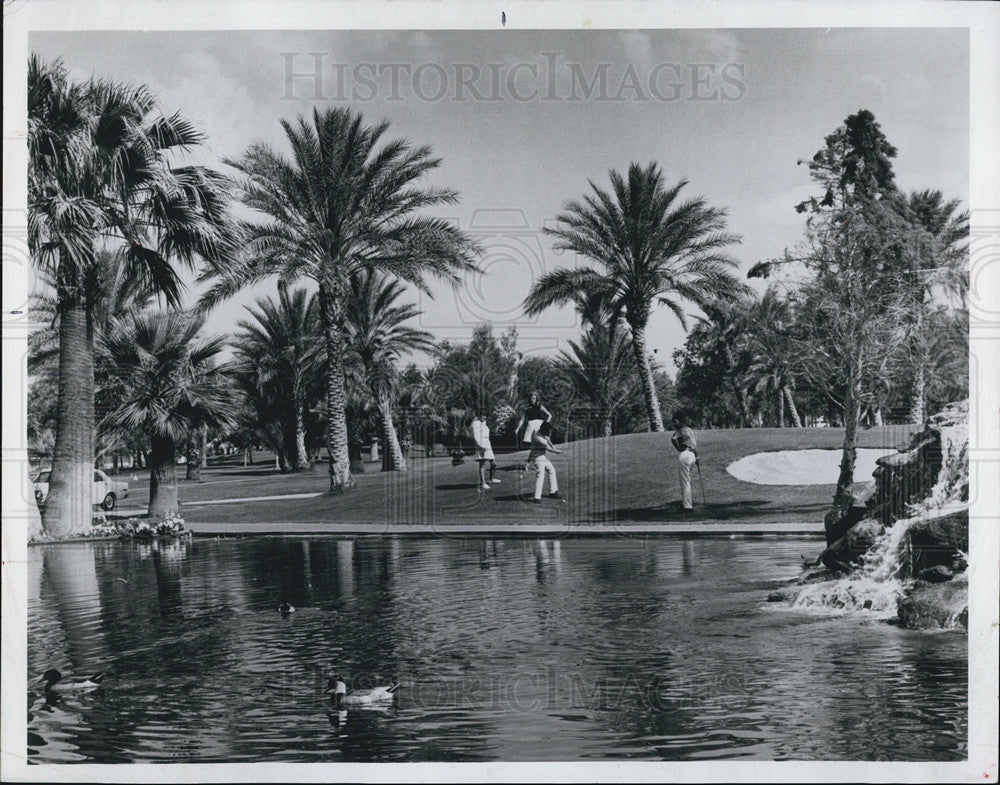 1981 Press Photo Golf Course in Palm Springs Calif. - Historic Images