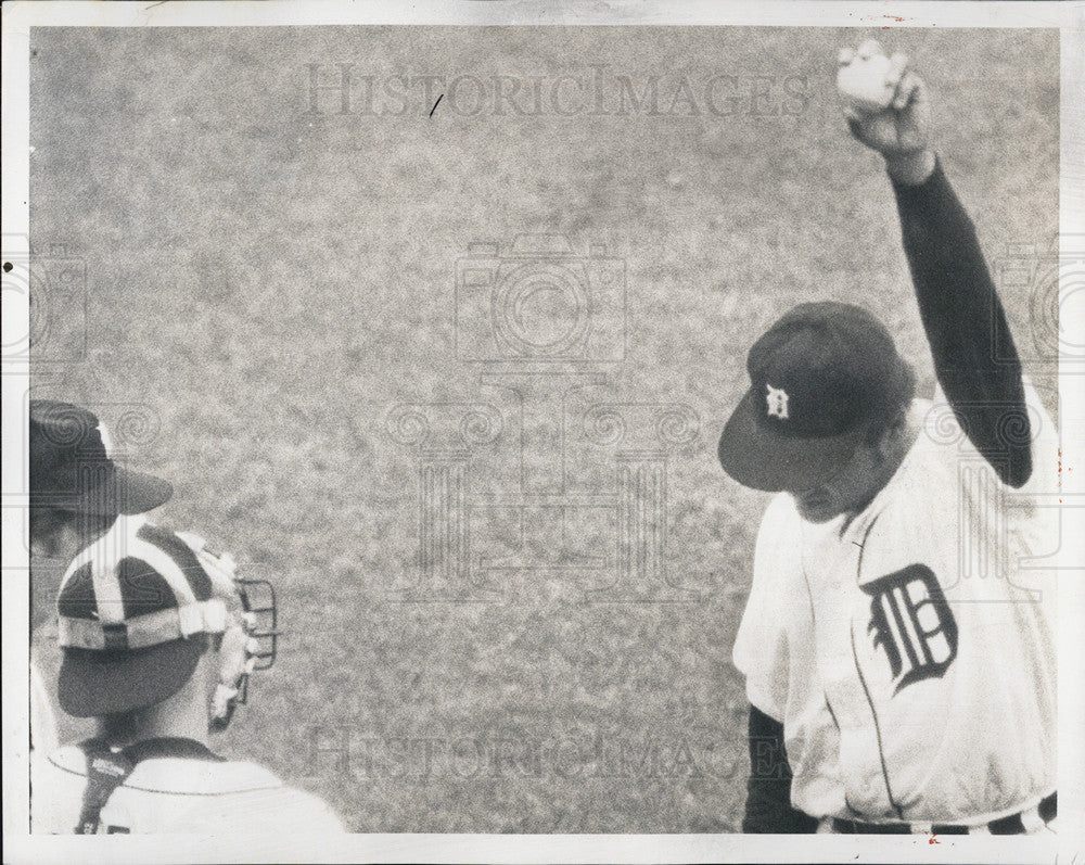 1971 Press Photo Detroit Tiger,Martin &amp; Freehan - Historic Images