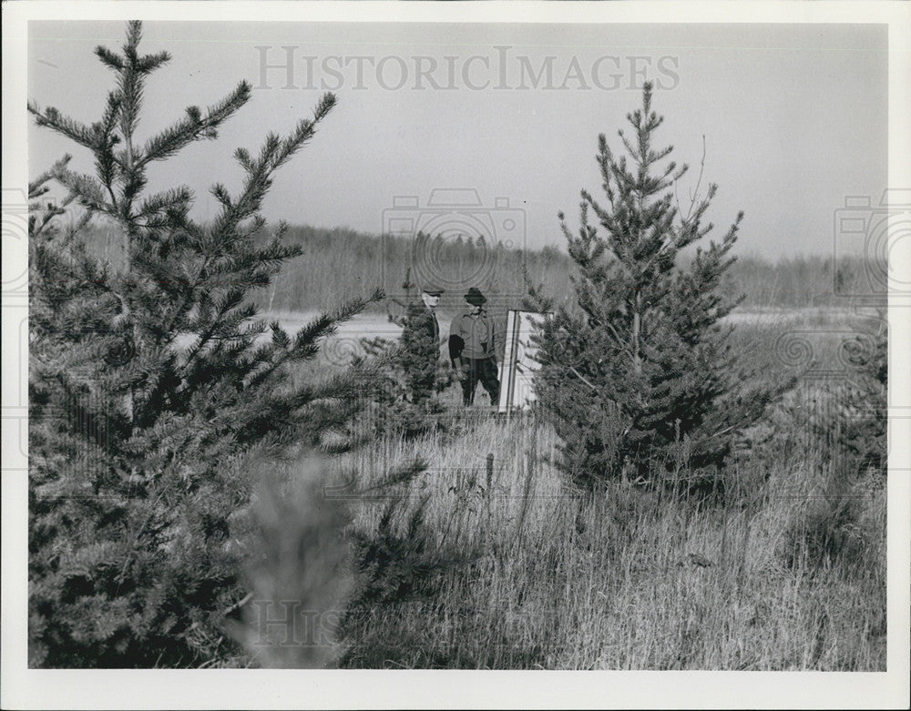 1939 Press Photo Higgins Lake reforestation area - Historic Images