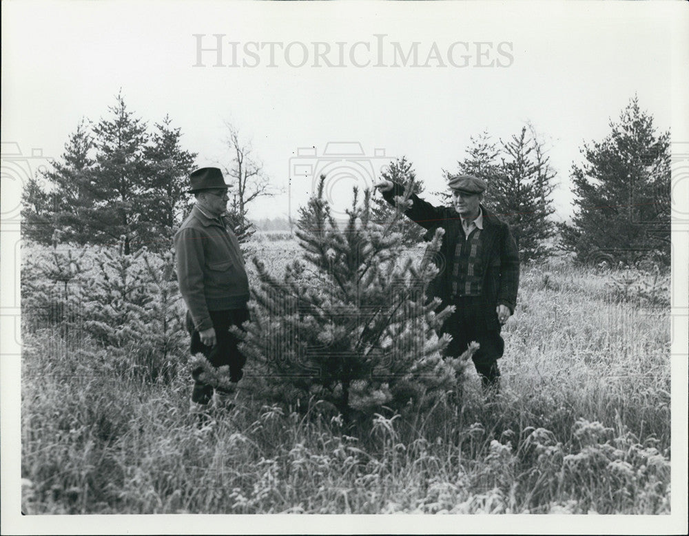 1939 Press Photo MI Higgins Lake Men See Detroit News Reforestation Plans - Historic Images